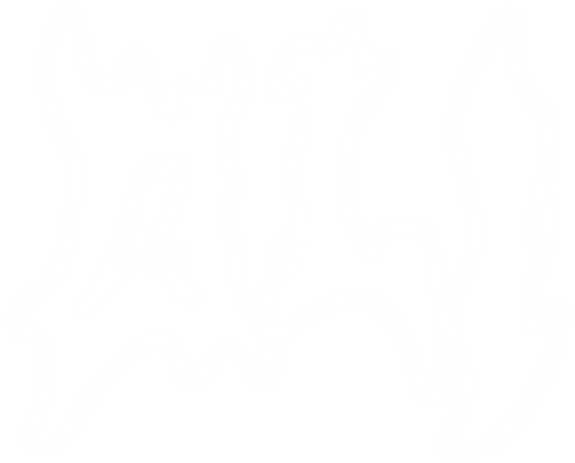 Oli
